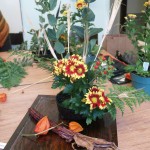 JASC - Cultural Programs